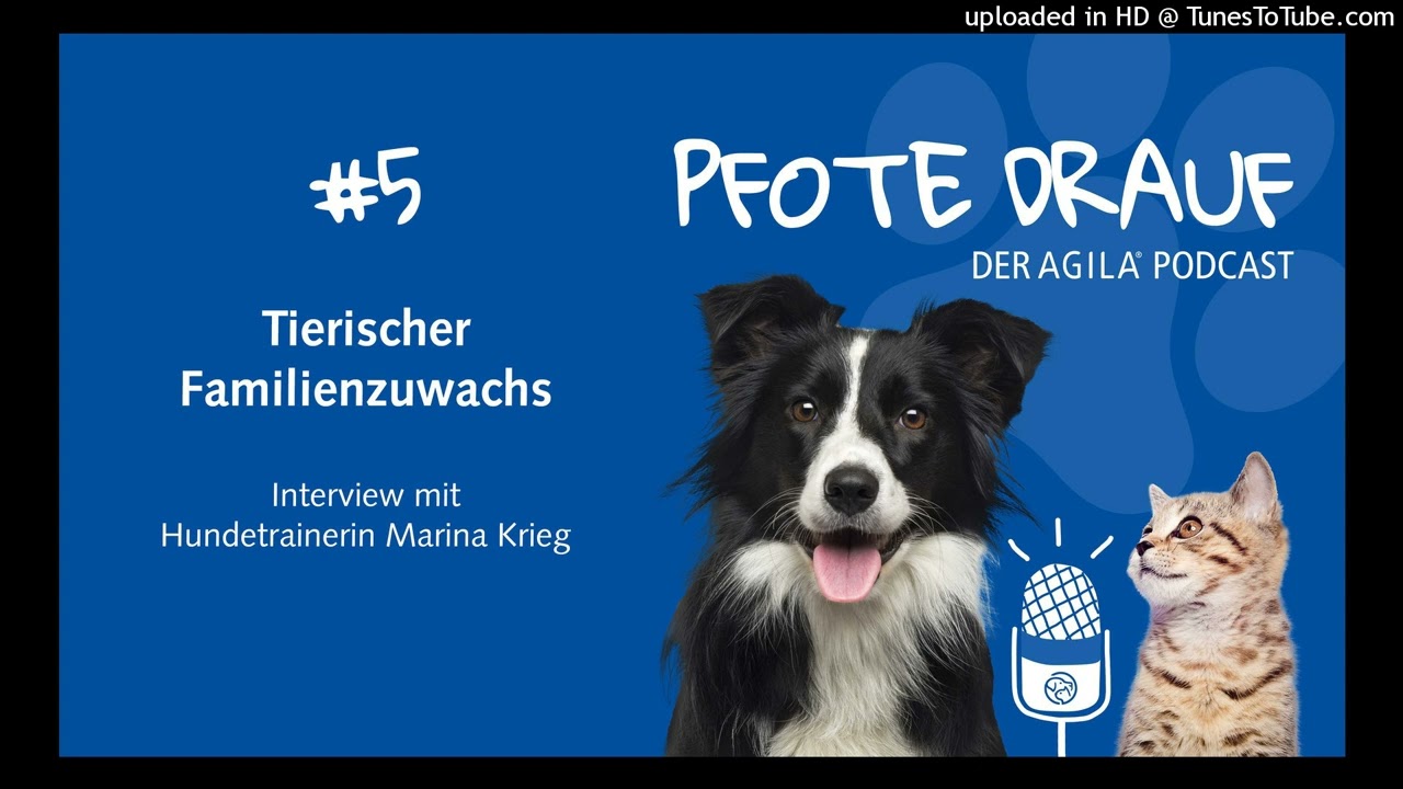 AGILA Podcast "Pfote drauf": #5: Tierischer Familienzuwachs - mit Hundetrainerin Marina Krieg